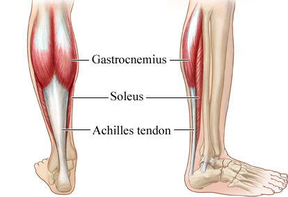 soleus muscle stretch, calf pain