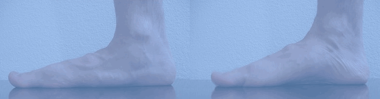 short foot exercise, foot pain
